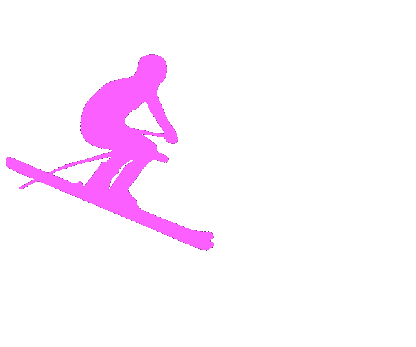 スキー　スラローム右ターンのＧＩＦアニメ animated gif ski slalom