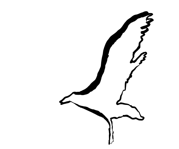 羽ばたくカモメ -ブラシ- のＧＩＦアニメ animated gif gull flapping