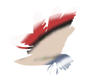海鳥のＧＩＦアニメページのサムネイル animated gif seabird flying